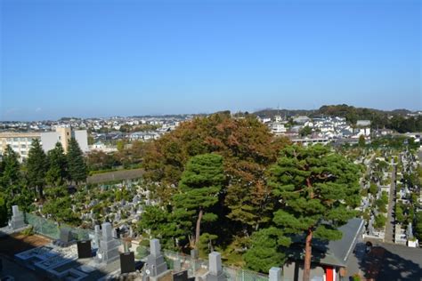 墓地 風水|お墓の近くは風水でも凶相～対処方法はあるのでしょうか